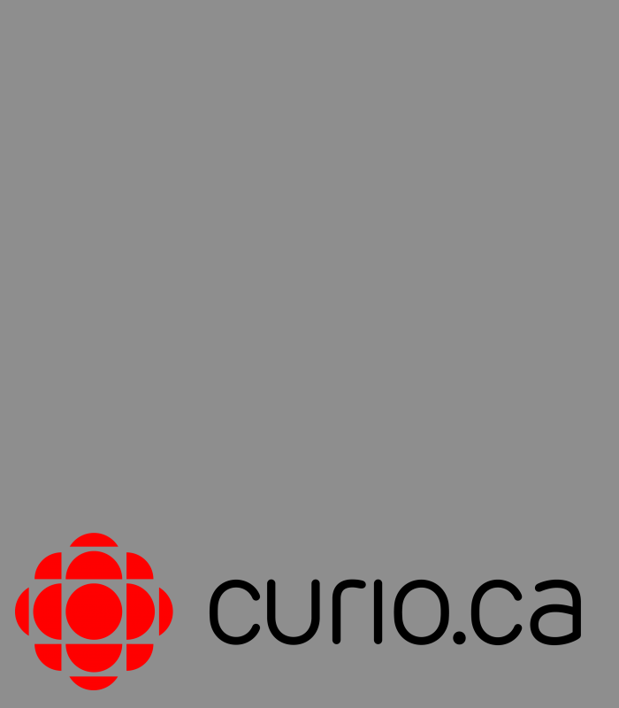 ​Arrow Air  : Canada’s Deadliest Plane Crash. April 2016