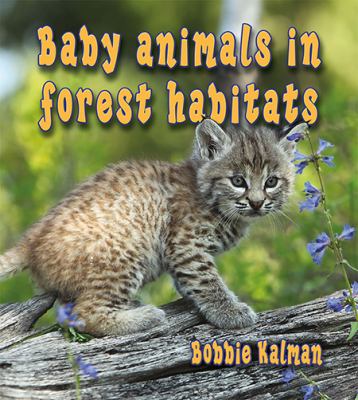 Baby animals in forest habitats