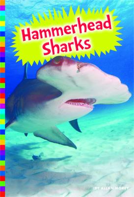 Hammerhead sharks