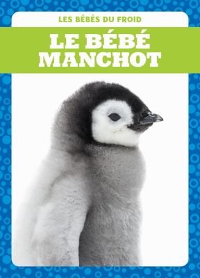 Le bébés manchot