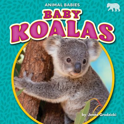 Baby koalas