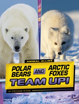 Polar bears and arctic foxes team up